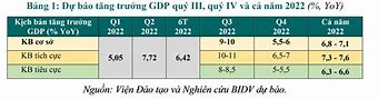 Báo Cáo Kinh Tế Vĩ Mô Việt Nam 2022