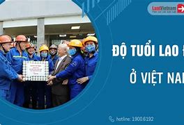 Bao Nhiêu Tuổi Thì Đủ Độ Tuổi Lao Động