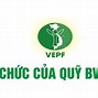 Các Tổ Chức Bảo Vệ Môi Trường Của Việt Nam