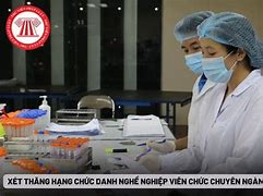 Chức Danh Nghề Nghiệp Viên Chức Chuyên Ngành Y Tế