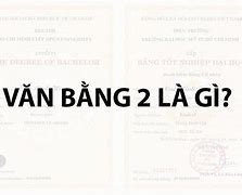 Có Nên Học Văn Bằng 2 Tiếng Anh Không