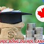 Du Học Có Gì Vui Tại Canada 2024