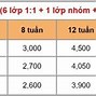 Học Phí Ngôn Ngữ Anh Hunre University 2024 دانلود شده