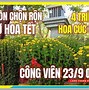 Năm 2023 Nên Đi Du Lịch Ở Đâu Việt Nam Đẹp