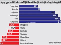 Tiểu Luận Xuất Khẩu Gạo Ở Việt Nam Năm 2021